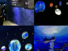 -西峡恐龙遗迹园