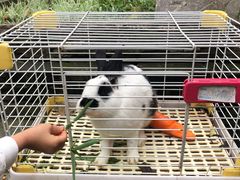 -慢丽江·云南野生菌土鸡锅(西山店)