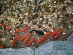 -长春宾馆·丽豪浴都