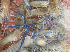 -江杨农产品批发市场