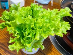 生菜-牛犇烤肉(物资学院路店)