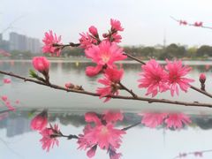 -凤城河风景区
