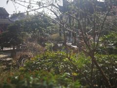 -祝家花園(伯渎港店)
