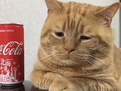 -天河体育中心