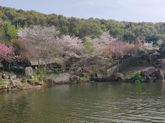 -白马涧龙池景区