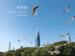 -深圳湾公园(南山区)