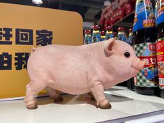 -盒马鲜生(双清路店)