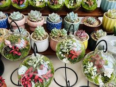 -首创奥特莱斯(西安店)