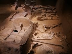 -洛阳周王城天子驾六博物馆