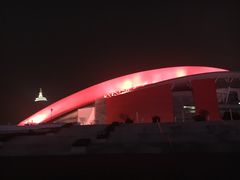 -南京奥林匹克体育中心-体育馆