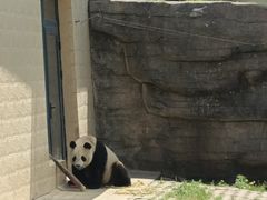 -辛玛王国游乐园