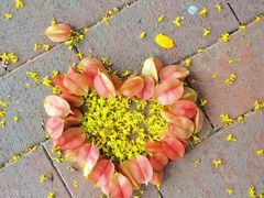 -春花秋色城市公园