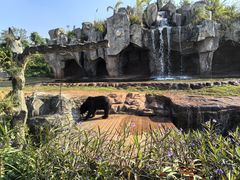 -海南热带野生动植物园
