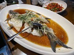 翘嘴鲌鱼-丹江渔村(望京店)