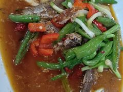 -芦茨金富饭庄·25年老字号·专做稻草鸡