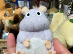 -美罗城
