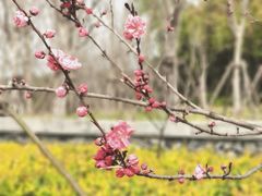 -长田漾湿地公园