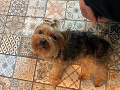 -喜茶(广州北京路惠福东店)