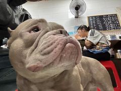 -小罗子汤店(大士院总店)