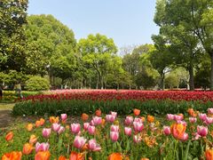 -上海鲜花港