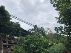 -客天下恐龙水晶玻璃桥