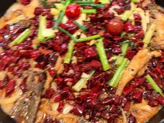 -老板恋上鱼(恒隆广场店)