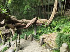 -严子陵钓台(富春江小三峡)