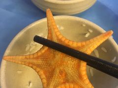 -千岛蚝高压锅生蚝·人参火锅(白云万达店)