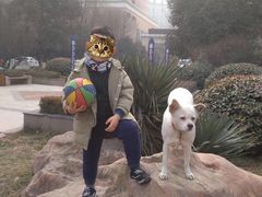 -西京医院