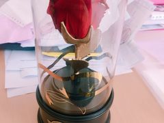 -BEAST野兽派(上海浦东嘉里城店)