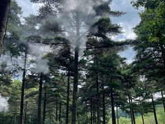 -洛阳白云山景区