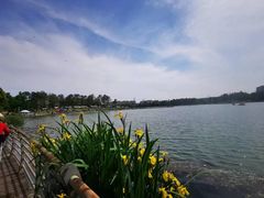 -美兰湖景区