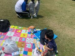 -春花秋色城市公园