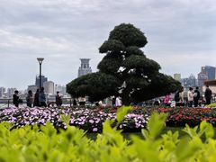 -北外滩滨江绿地