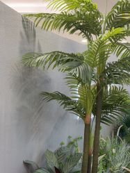 -八佰伴8008星级形象店