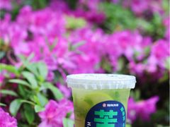 -炖物24章·顺时轻养茶(杭州大厦店)