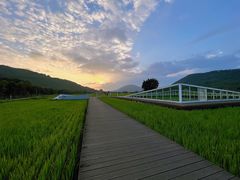 -风云岭森林公园