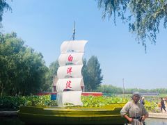 -白洋淀景区