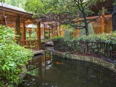 -山大王菌莊