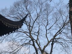 -拙政园