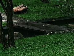 -燕晗山郊野公园