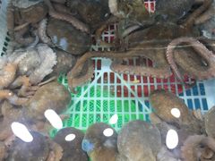 -港畔赶海蒸汽海鲜烧烤自助(仙螺岛店)