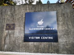 -怀托摩萤火虫洞