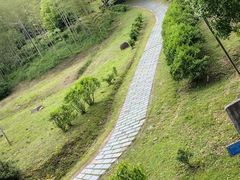 -大唐贡茶院