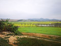 -光明小镇欢乐田园
