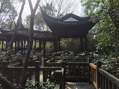 -上海佘山国家森林公园天马山园