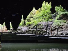 -怀托摩萤火虫洞