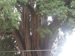 -四门塔风景区