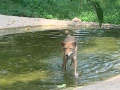 -西安秦岭野生动物园