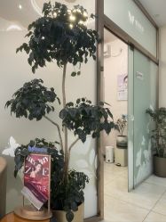 -紫洁俪方（北京）医疗美容